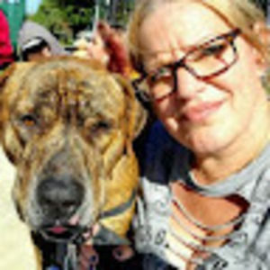 Meet your Posher, Allie